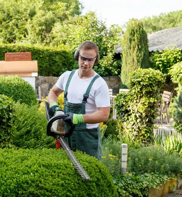 Skilled landscaping repair service ensuring healthy lawns, fixed irrigation systems, and rejuvenated outdoor areas.